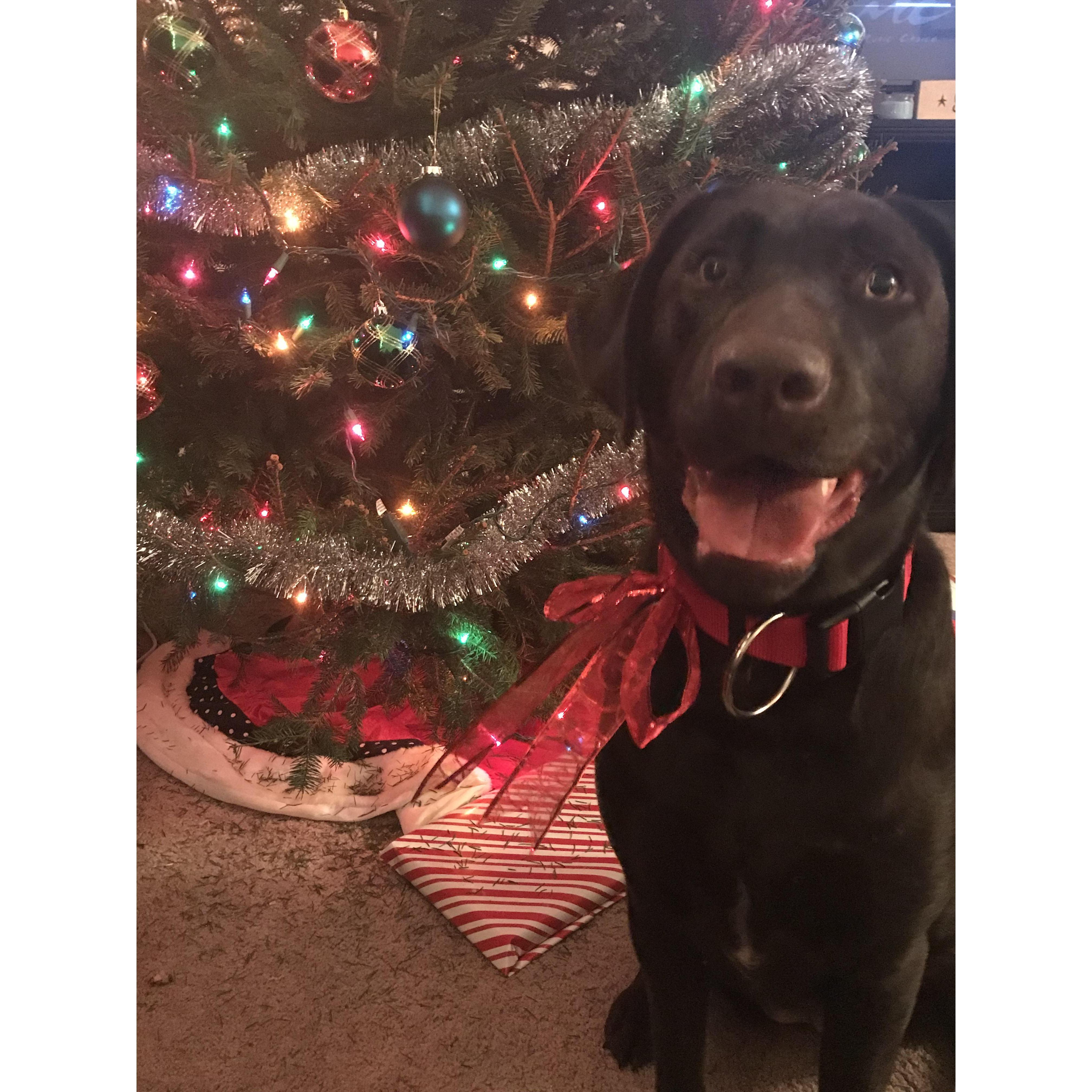 Our Christmas angel 🎄❤