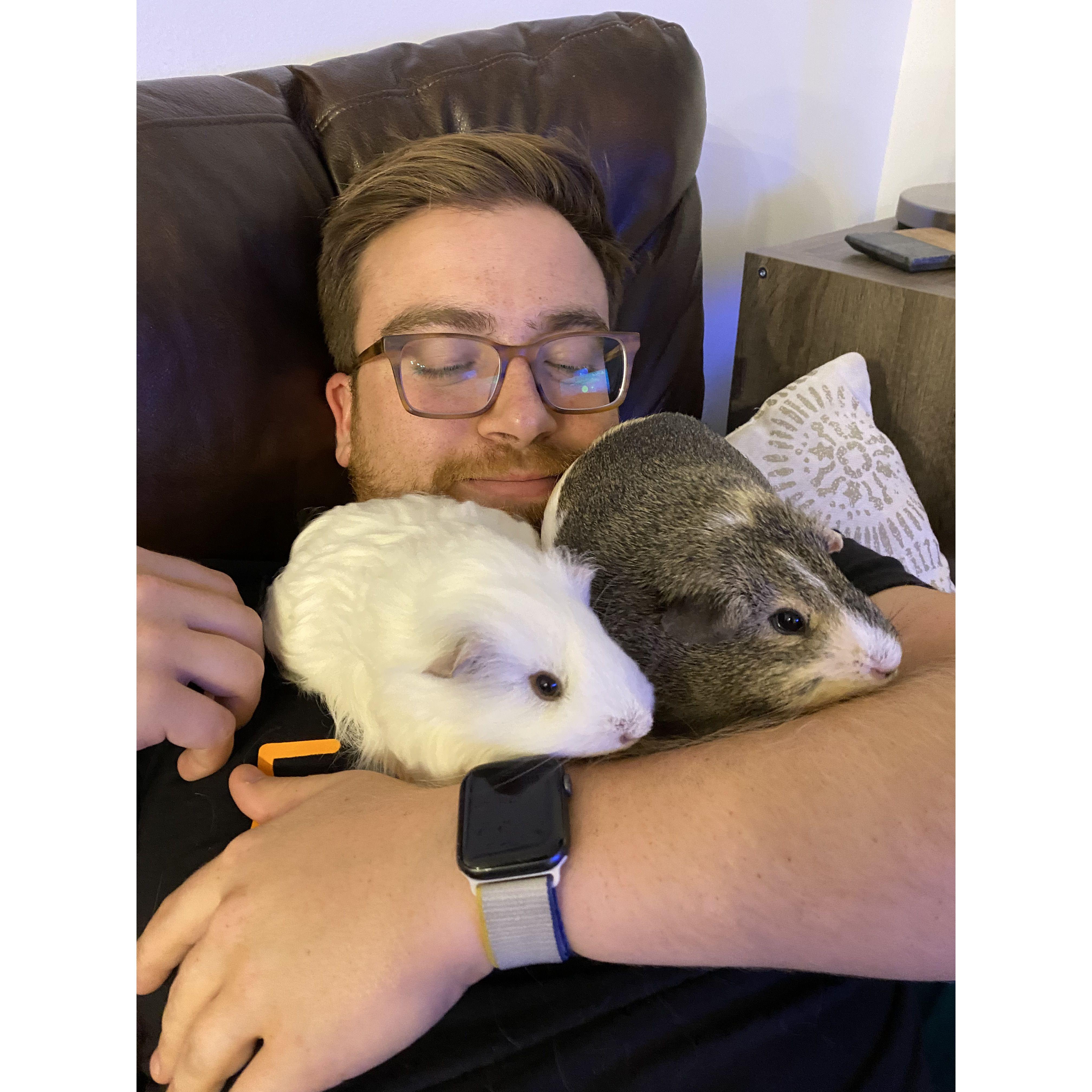 Jake and the guinea pigs
