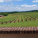 Wine Country