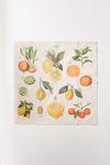 Cavallini Papers Napkin Set