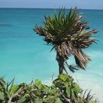 12 Things To Do while in Tulum