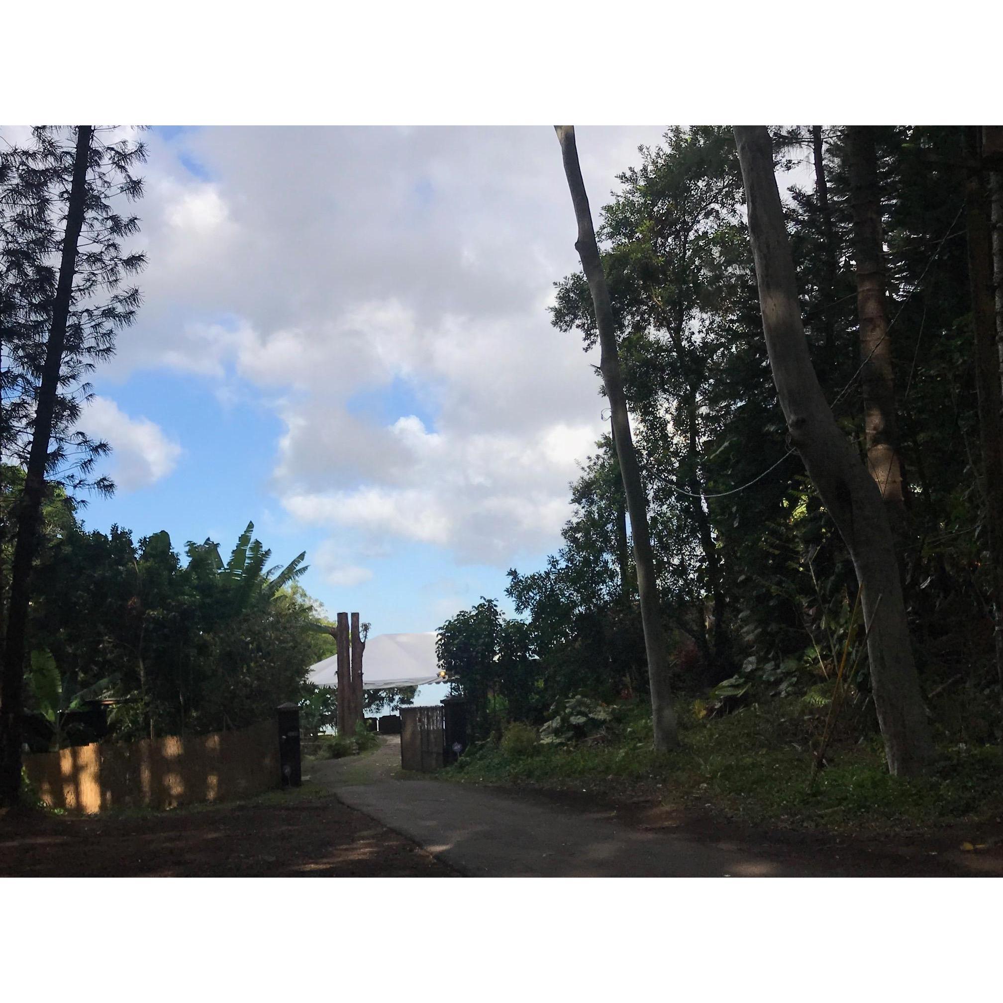 Entrance of the Nutridge Estate- park on the side before the main gate