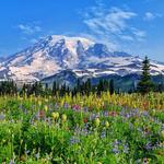 Mount Rainier