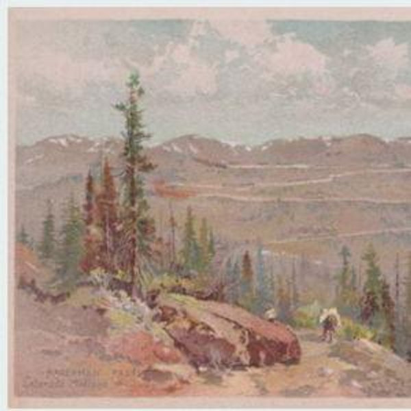 Western Art Collection Fund