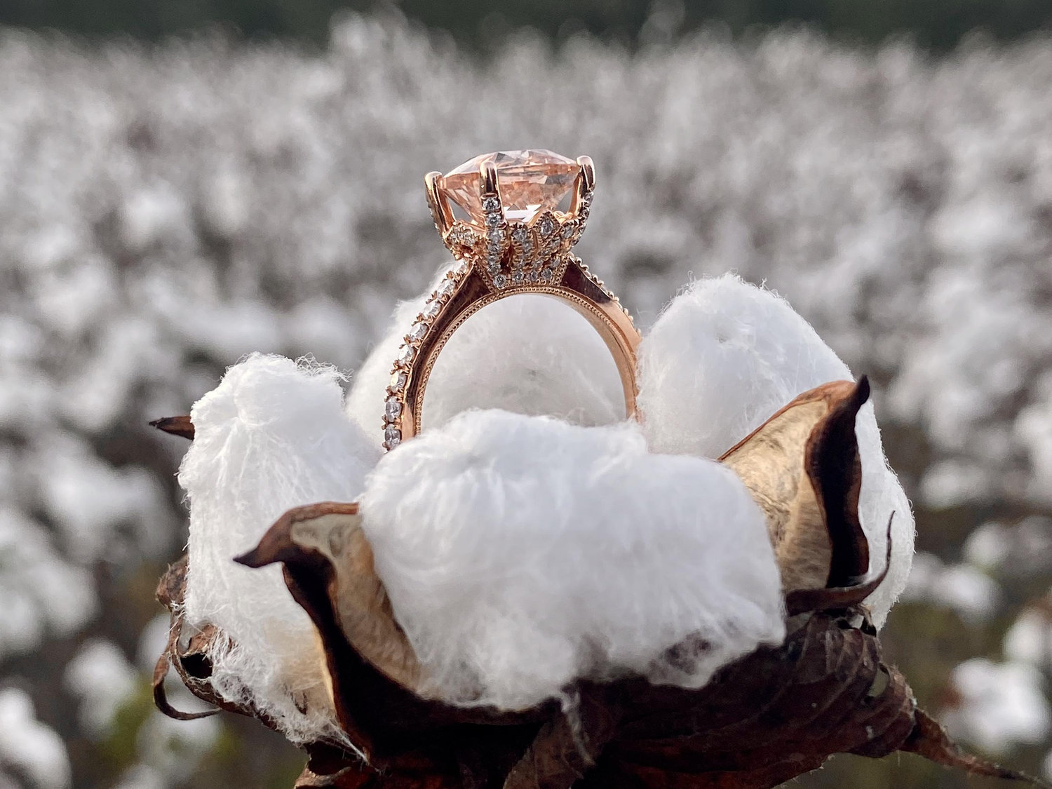 The Wedding Website of Kenna Goude and Randy Evans