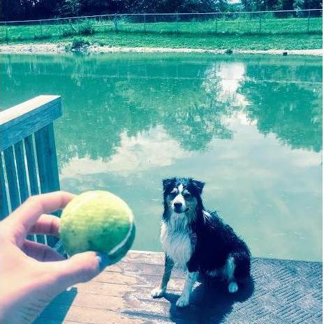 At the site where we first met- the Iowa City dog park!