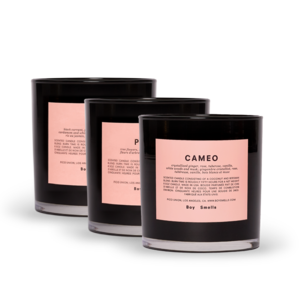 Boy Smells Bloom Patrol Candle Set