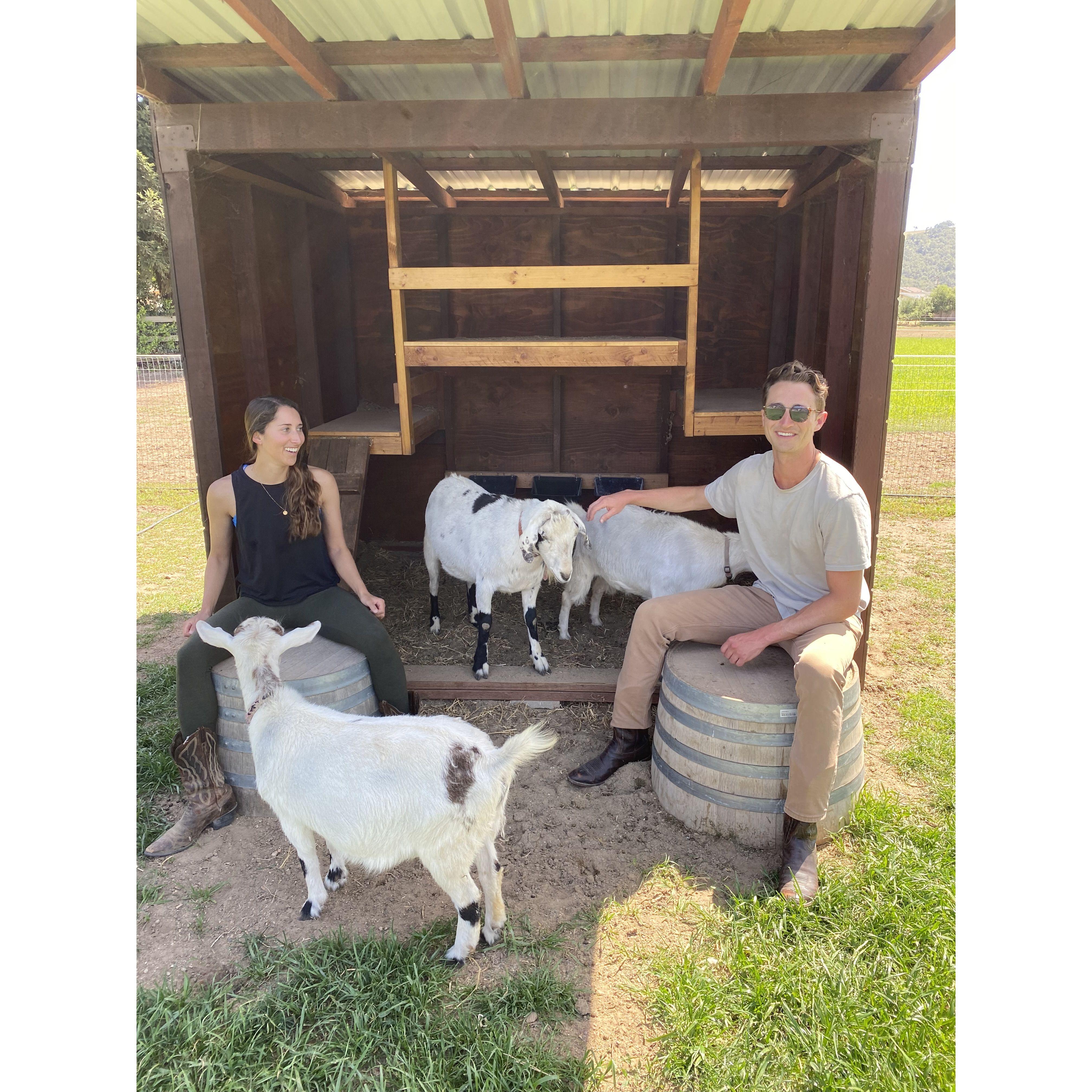Nancy teaching us farm life, preparing for our future mini-ranch