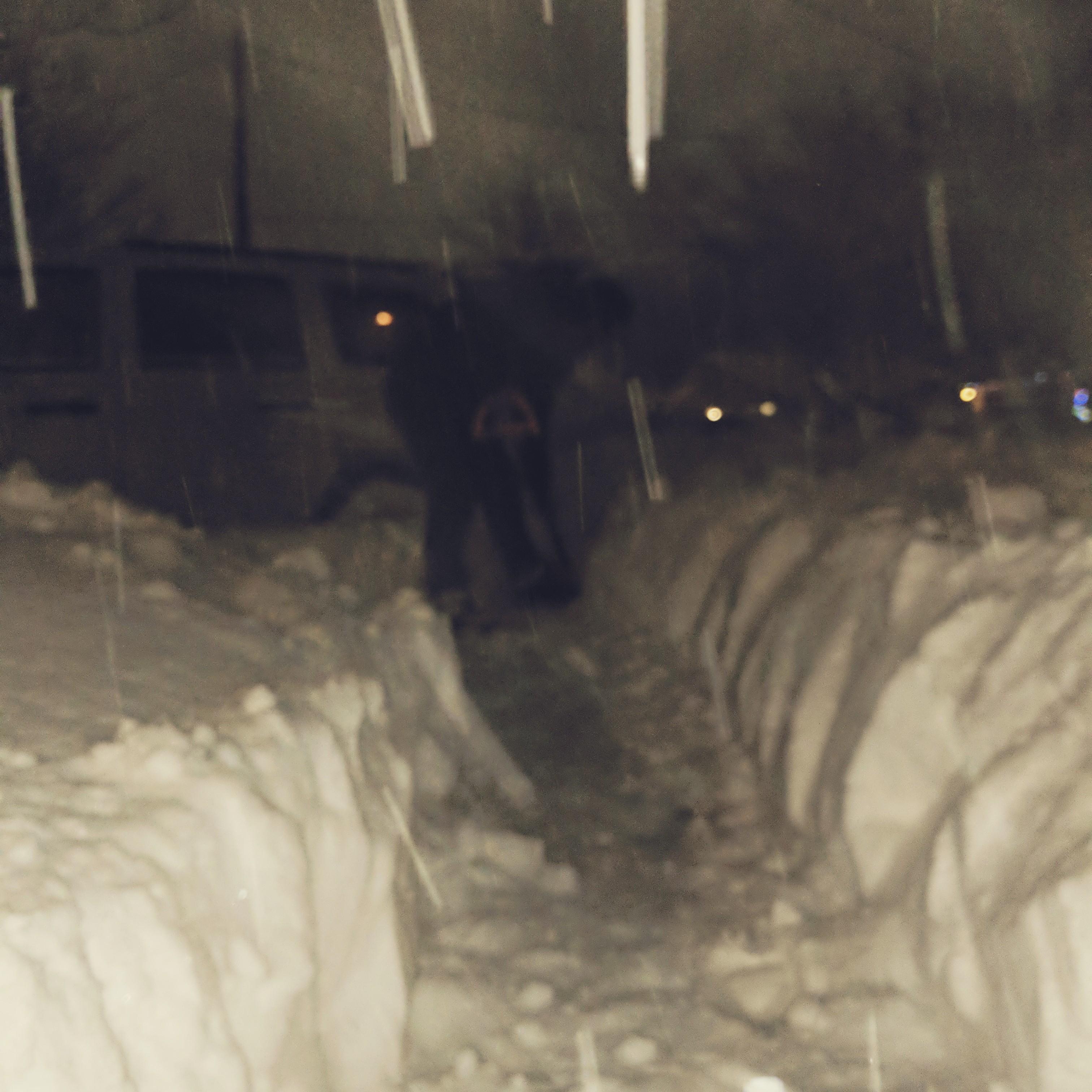 December 30th, 2017:
After traveling down to Ohio to visit Emilio's family for Christmas they came back to home to a ton of snow and had to shovel their way into their house! ❄️
