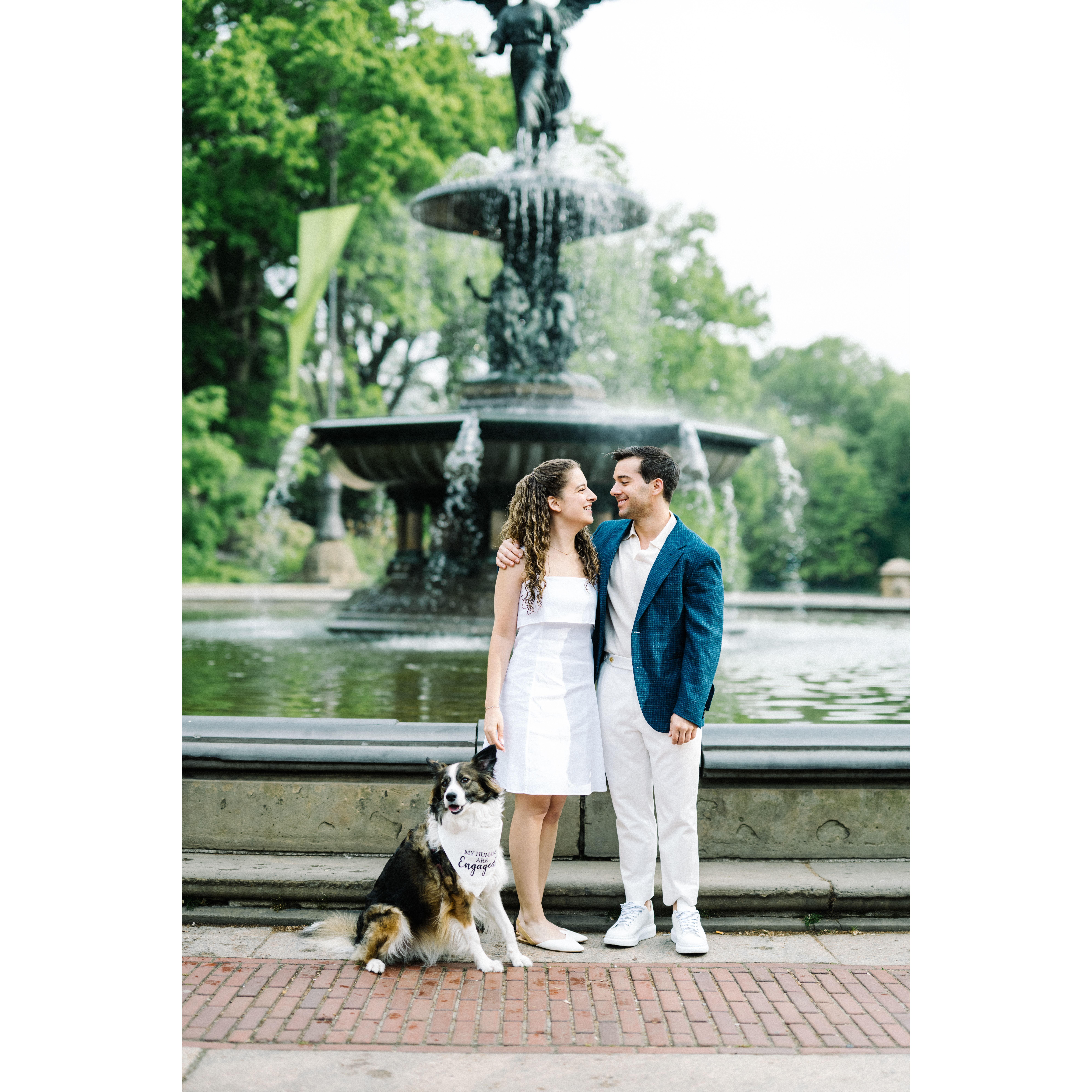 Another stroll in the park