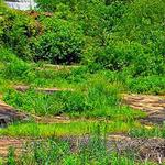 High Falls State Park