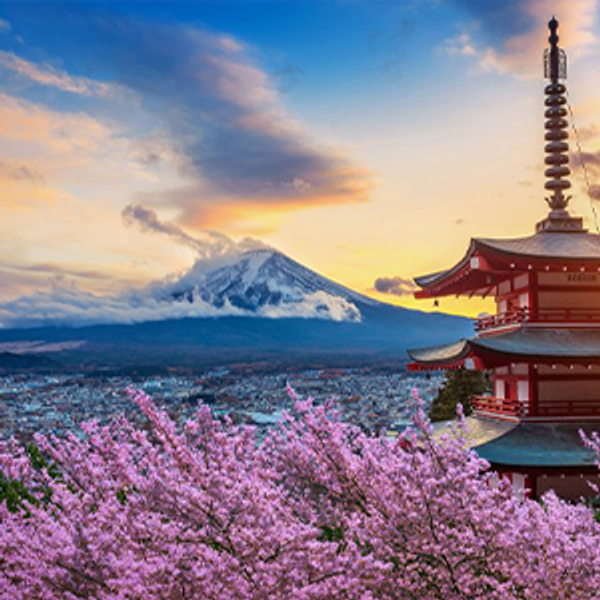 Honeymoon Fund (Japan!)🎎