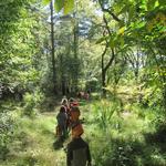 Boxerwood Nature Center & Woodland Gardens