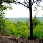 Cedar Ridge Preserve