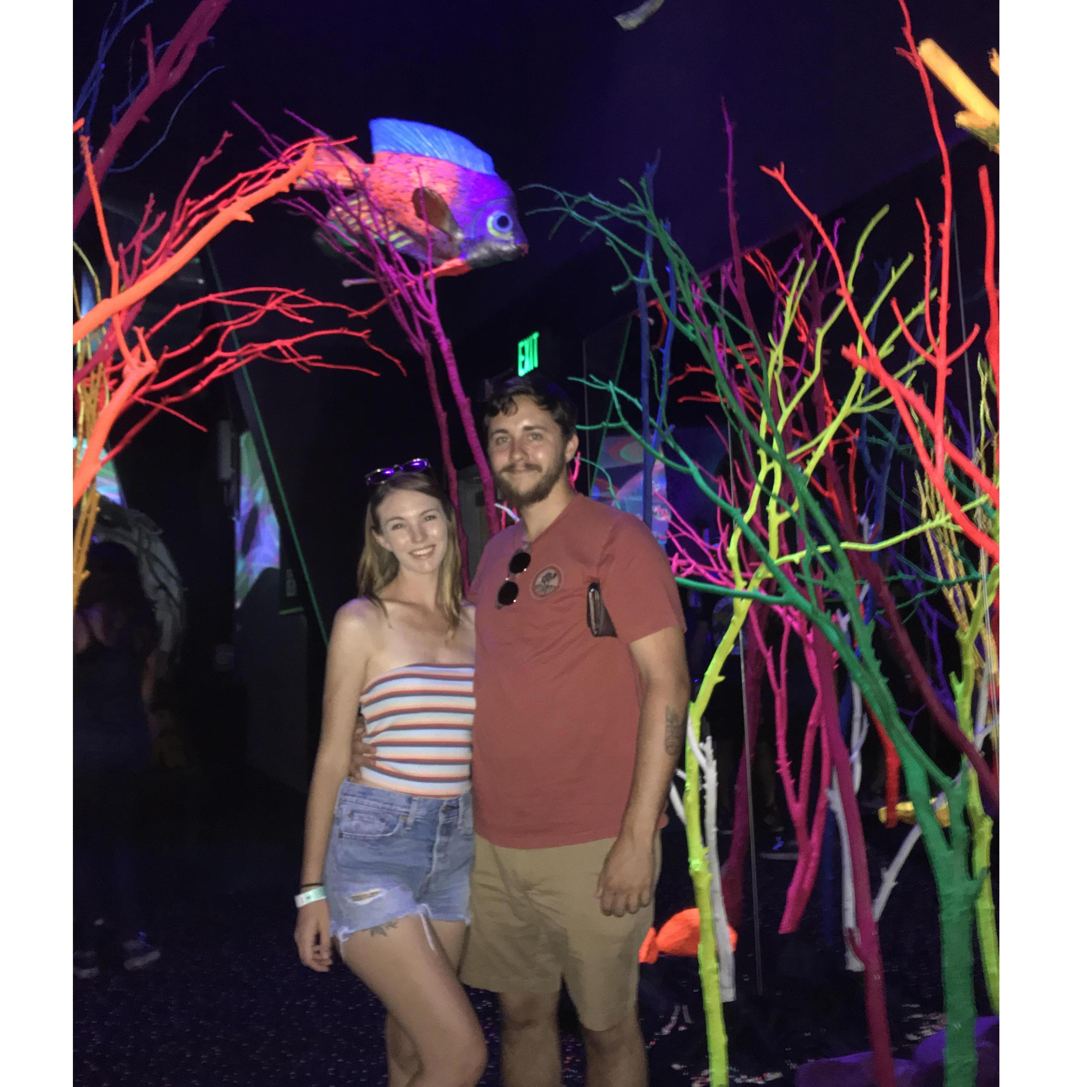 Under the sea at MeowWolf
