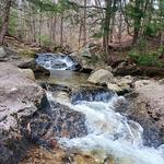 Packard Trail