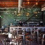 The Spotted Owl (Akron)