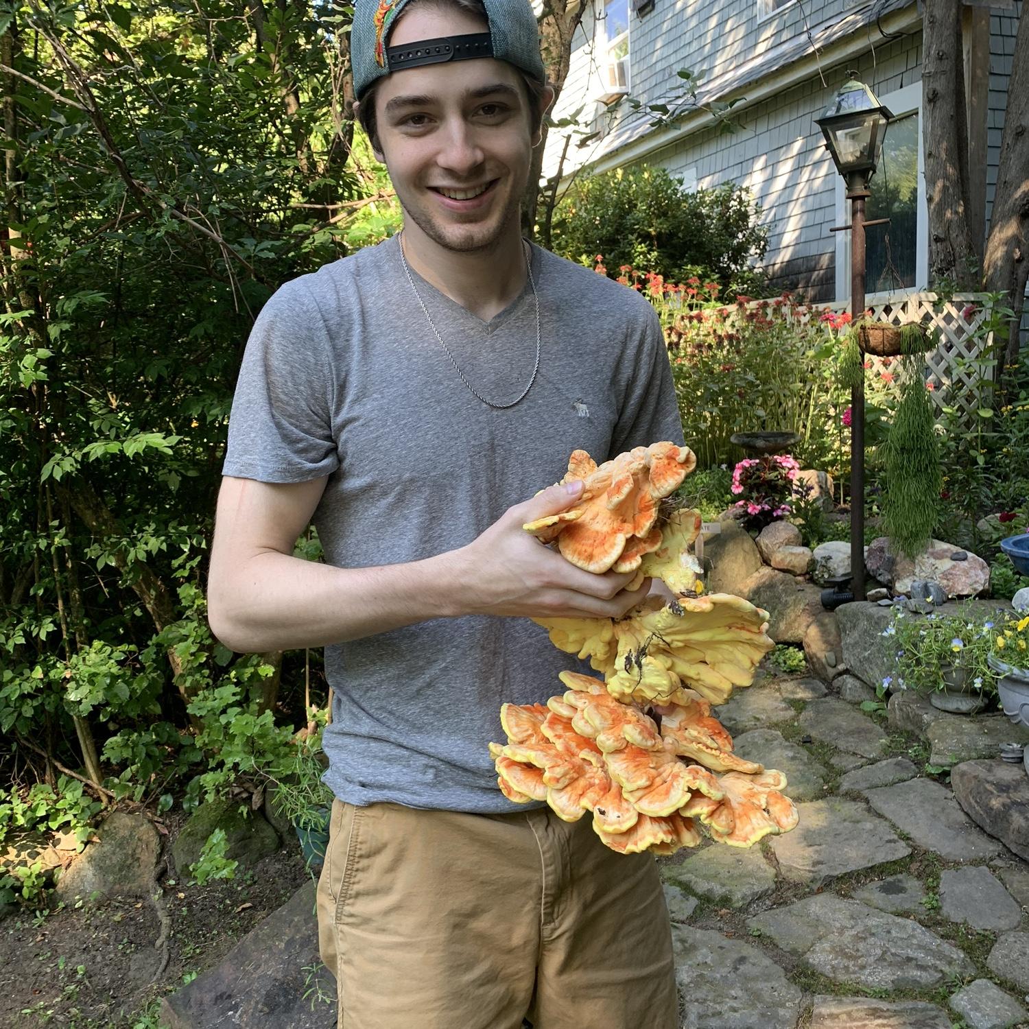 Foraging Mushrooms Together