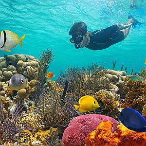 Kauai Snorkeling Experience
