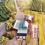 Carter Mountain Orchard