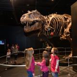 Center of Science and Industry (COSI)