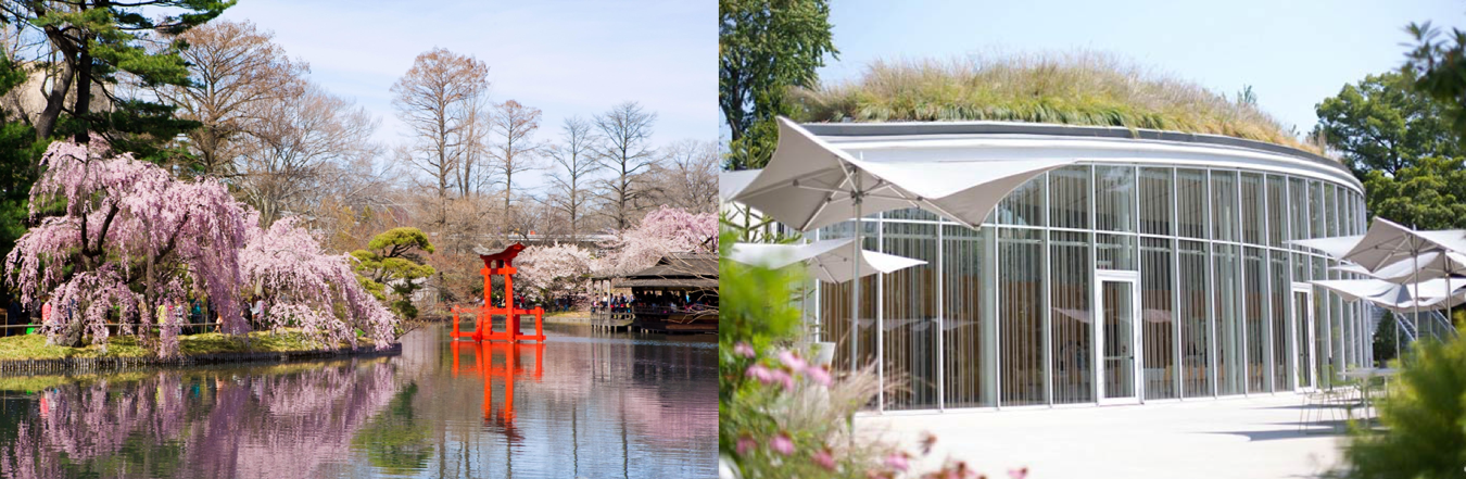 The Wedding Website of Joyce Jin and Trevor DiTrani