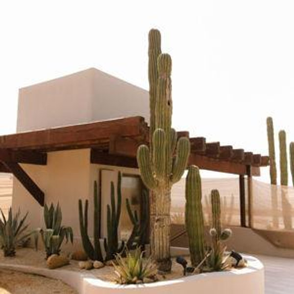 Honeymoon Fund 🛩️🌵🥥