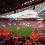 Estádio da Luz