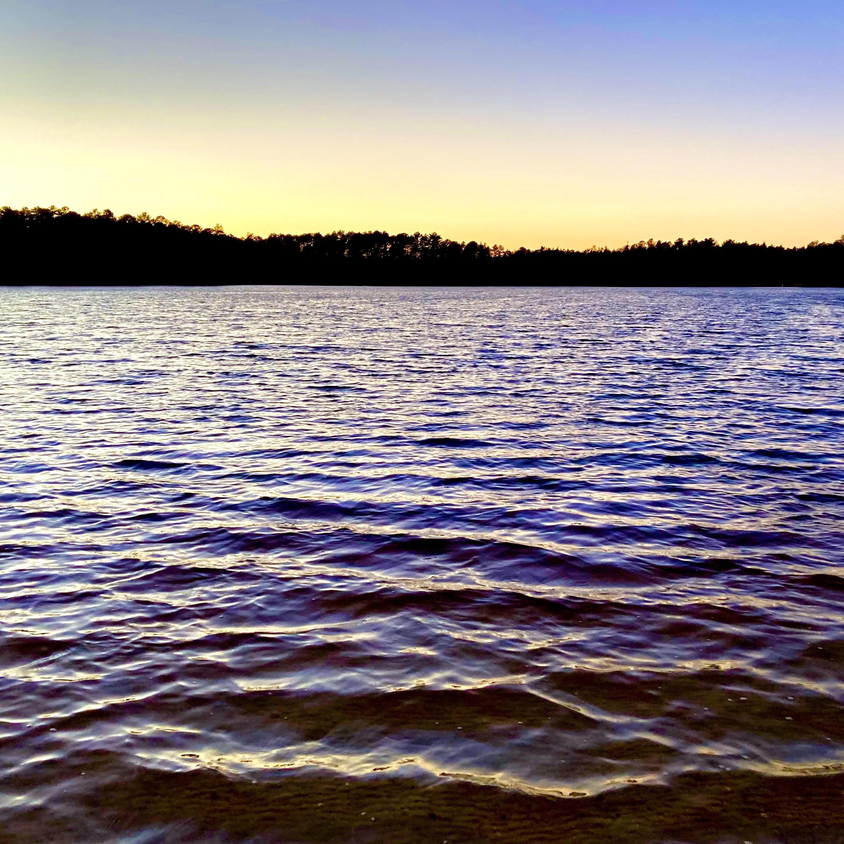 Date: January 23, 2021
Days Dating: #978
Location: Lake Absegami, NJ
If you cannot tell by now, this is our favorite lake.