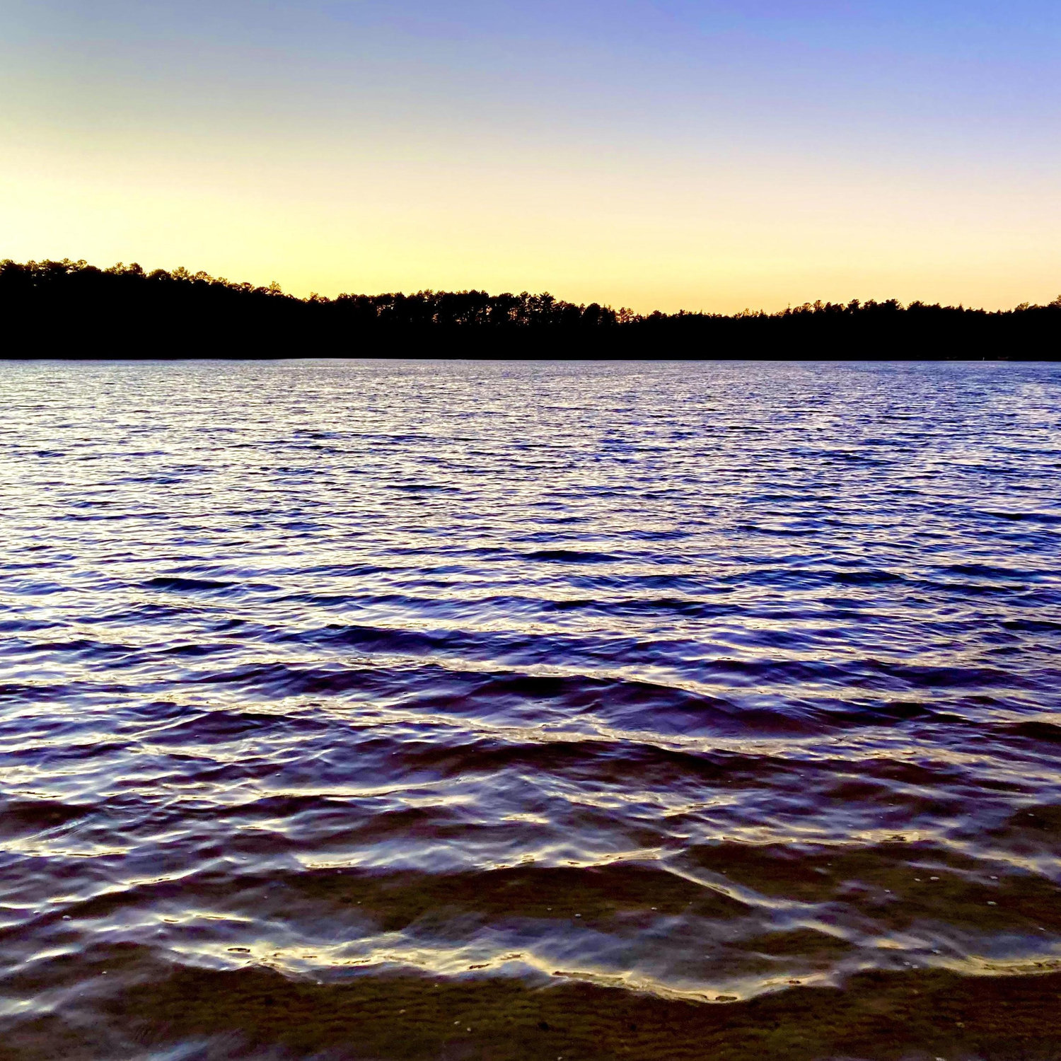 Date: January 23, 2021
Days Dating: #978
Location: Lake Absegami, NJ
If you cannot tell by now, this is our favorite lake.