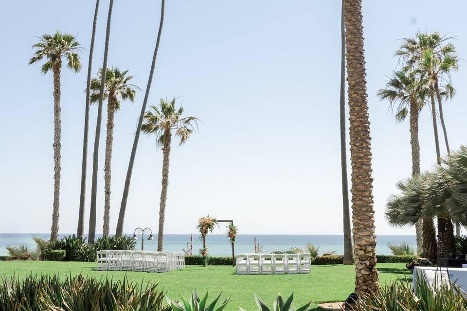 The Wedding Website of Sarah Rokhlin and Alek Konopnicki