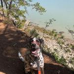 Cliff Trail