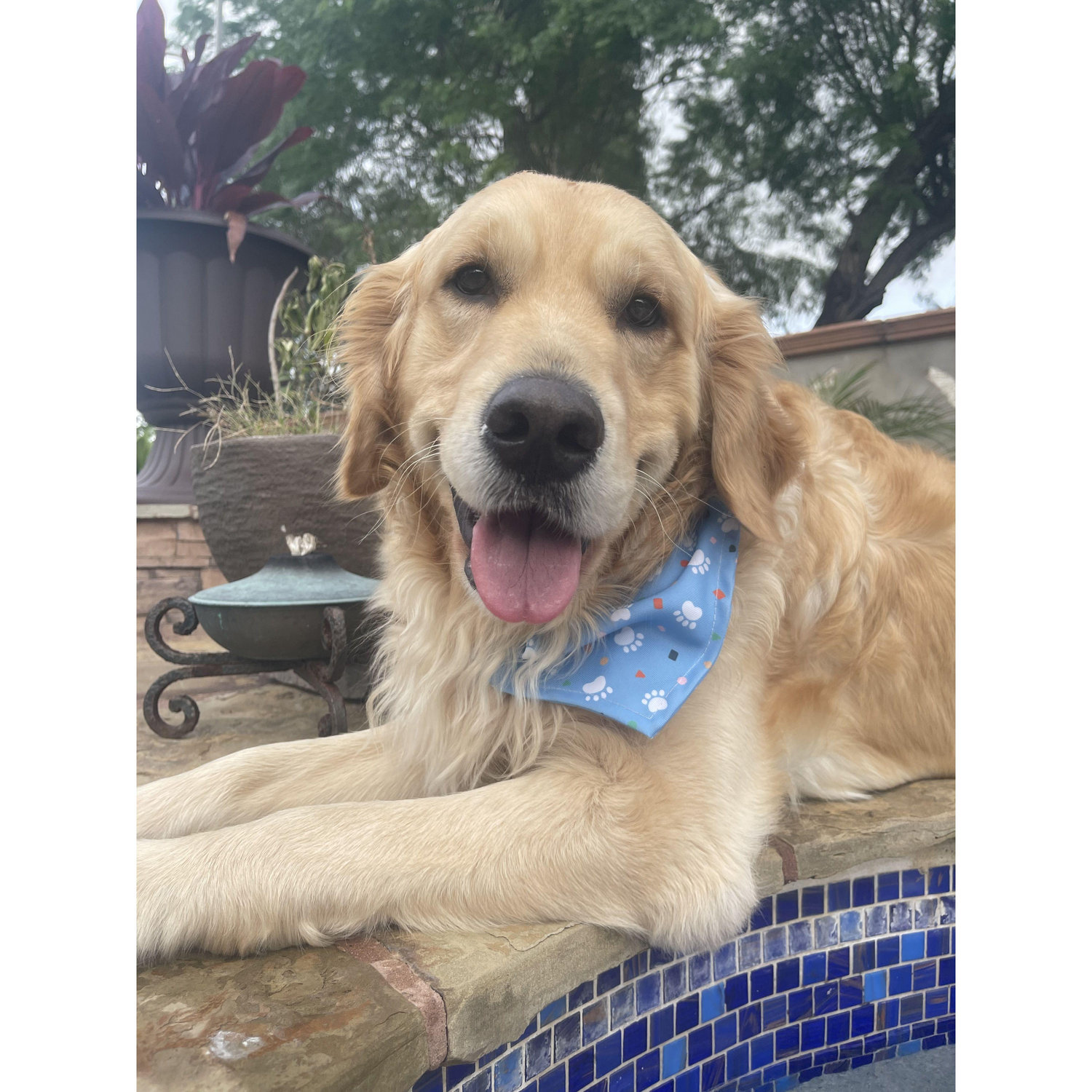 1 out of 3 of our children, THOR!