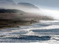Ocean Beach