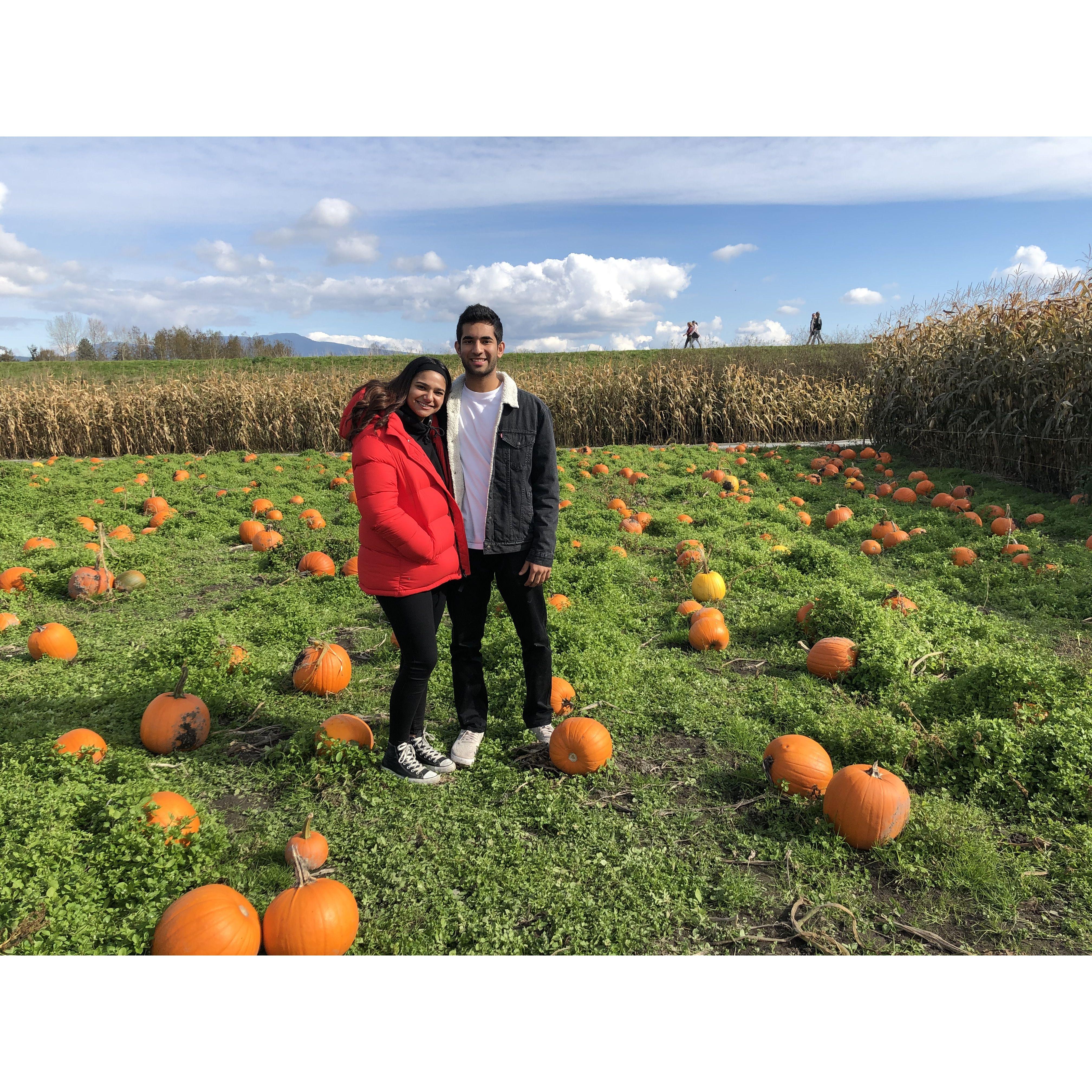 October 2019 - Pumpkin Patch