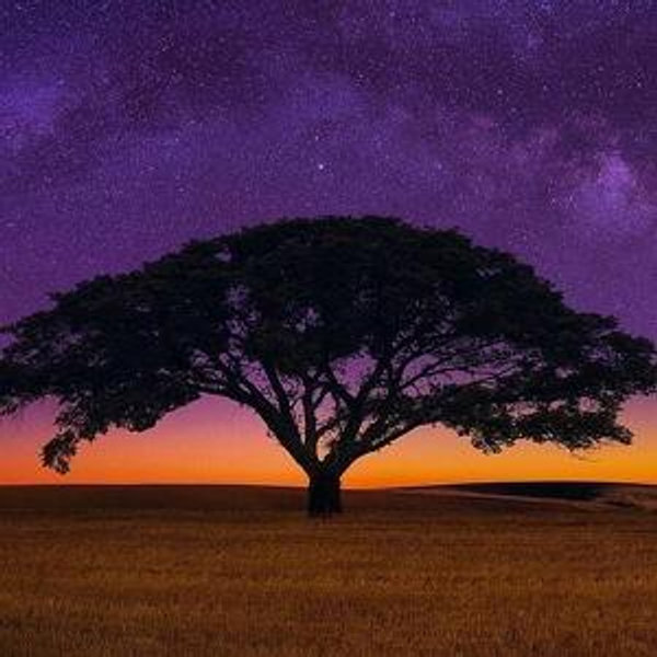Honeymoon (South Africa) Fund!