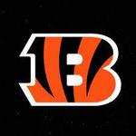 Bengals Game - Paul Brown Stadium