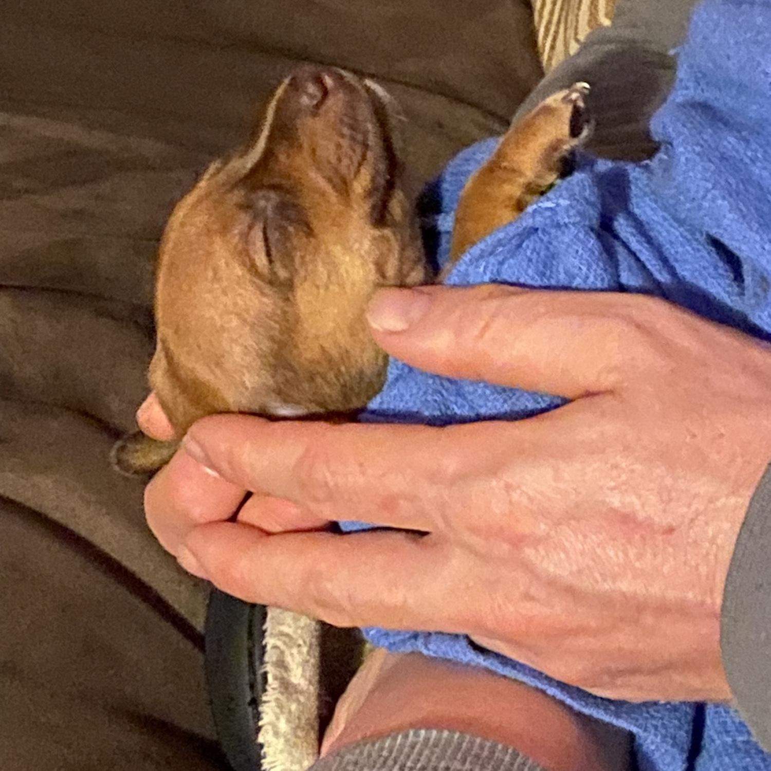 Precious boy!