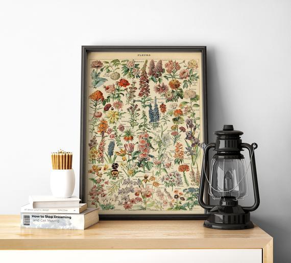 Flowers Chart| Flowers Diagram| Kitchen Wall Poster| Botanic Wall Poster| Floral Chart| Flowers Art Poster| Biology Wall Prints