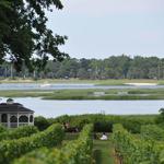 Harmony Vineyards