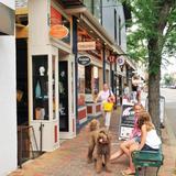 Shop and Explore Walnut Street