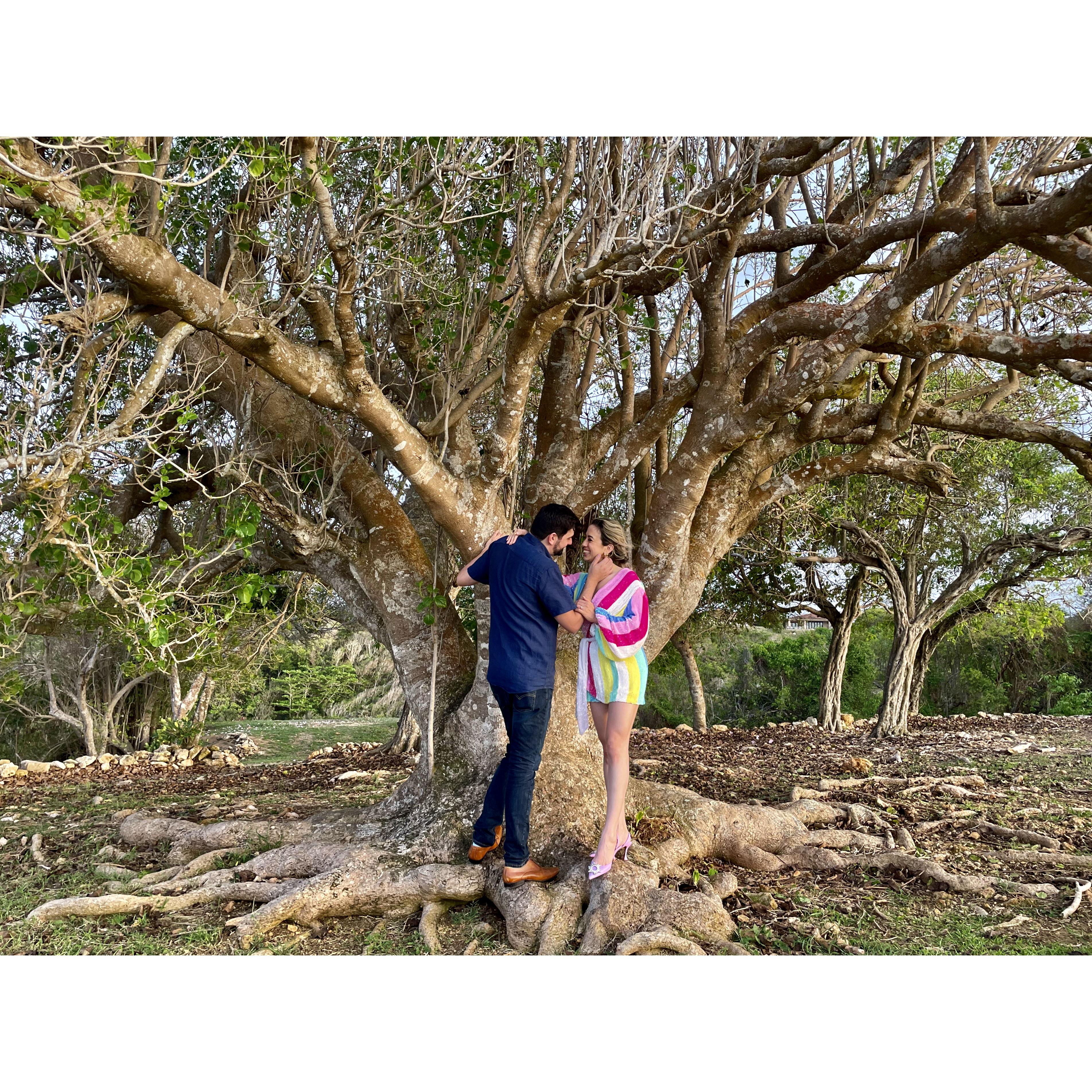 These pictures were all taken right after he proposed! He coordinated with his photographer aunt, Rebecca, to take engagement pictures of us in the Royal Isabela grounds! Pictures by @rz_portraits