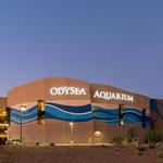 OdySea Aquarium