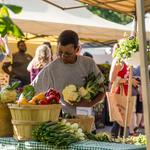 The Tower Grove Farmers' Market