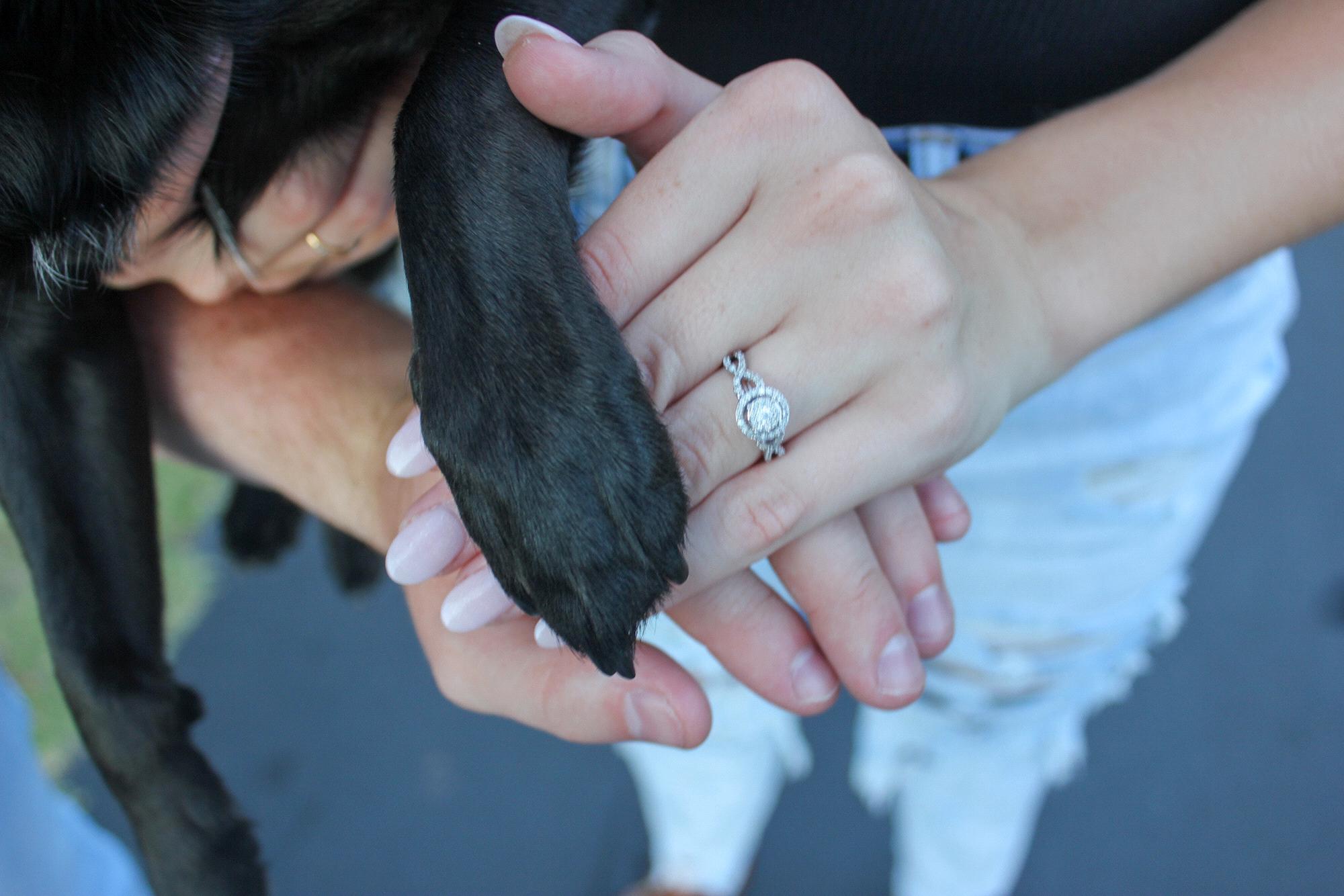 The future Robin’s