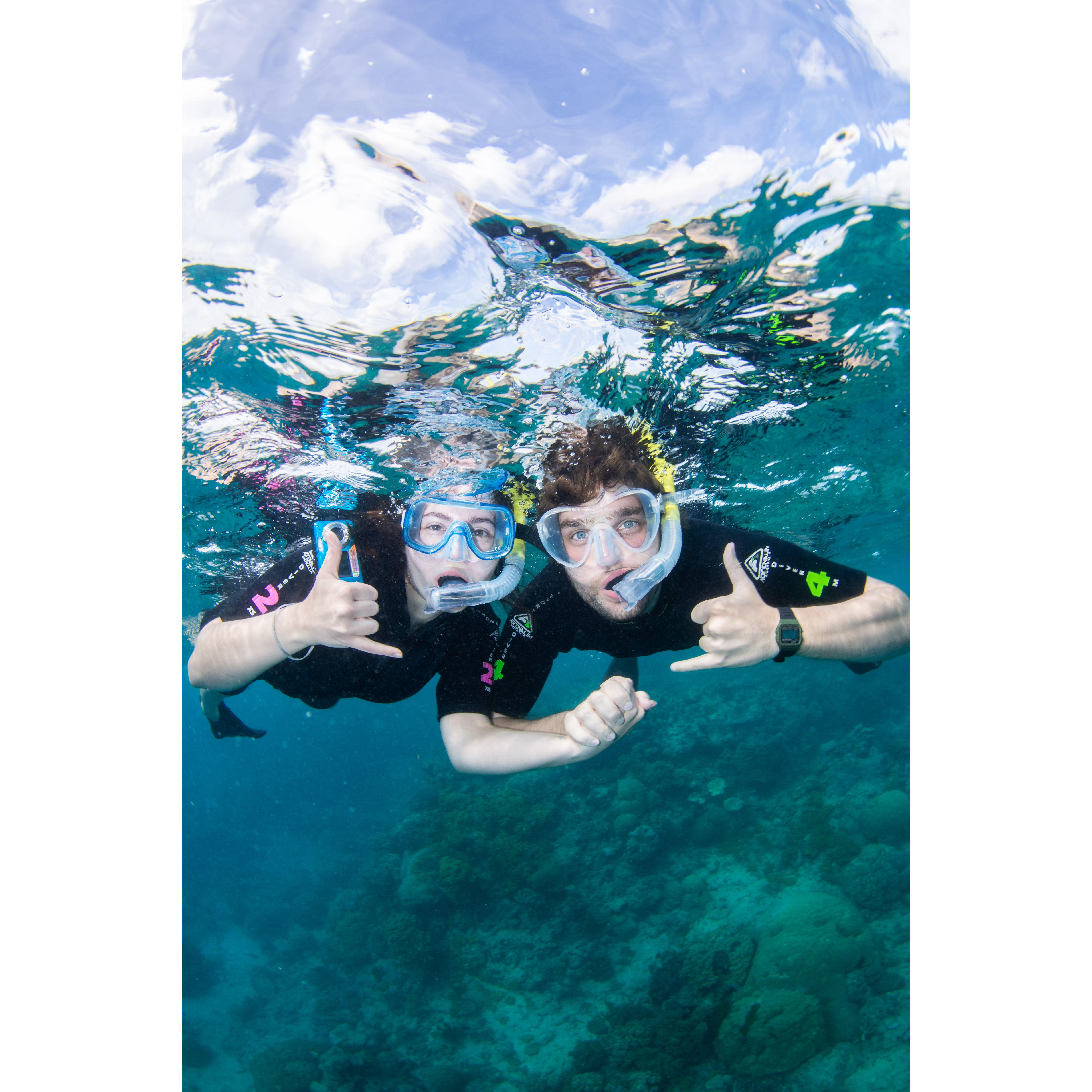 Scuba diving in the Great Barrier Reef off Queensland, Australia