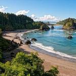 College Cove Trail