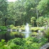 Norfolk Botanical Garden
