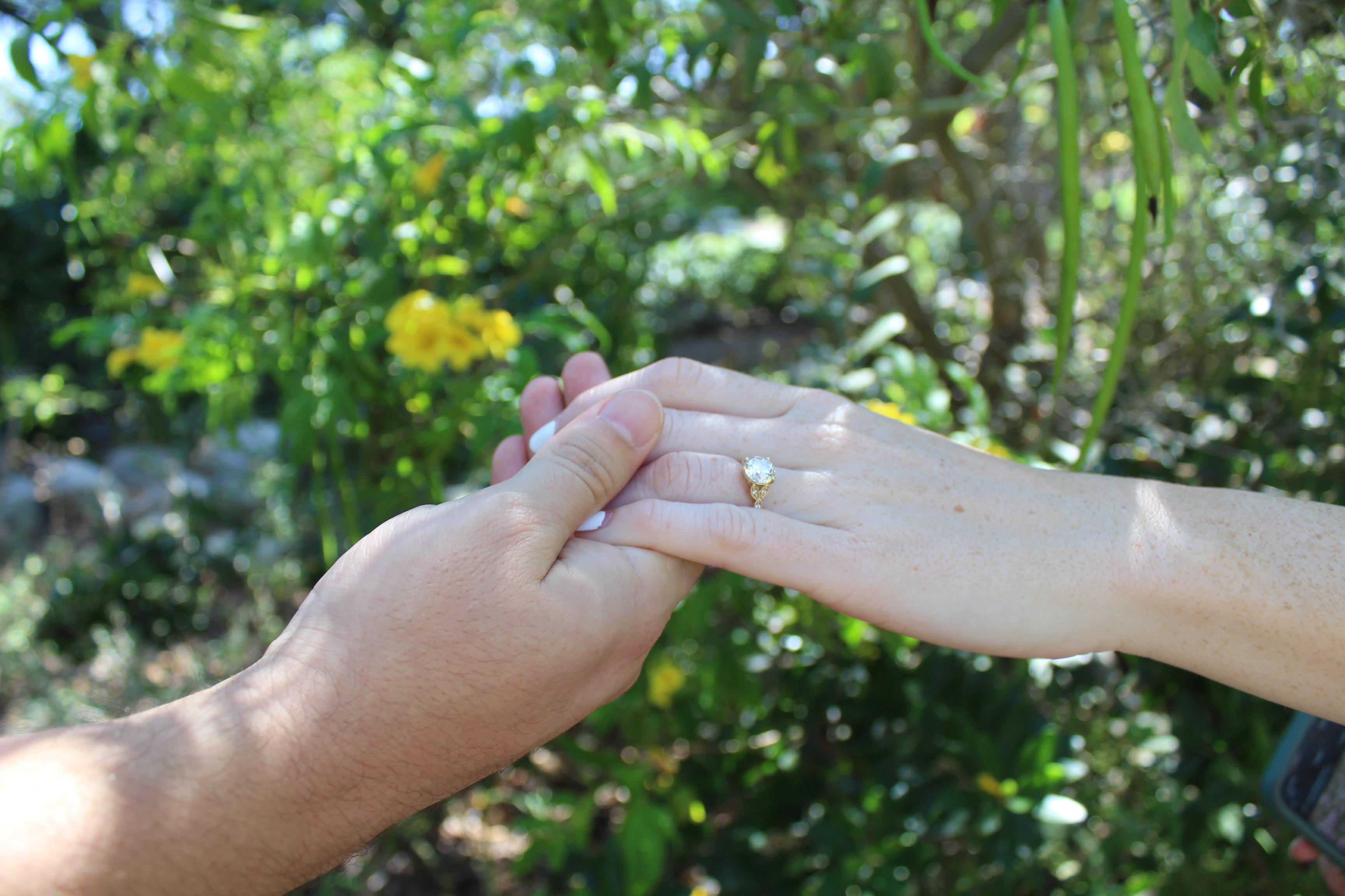 The Wedding Website of Amanda O’Connell and Carlos Torres