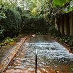 McMenamins Kennedy School